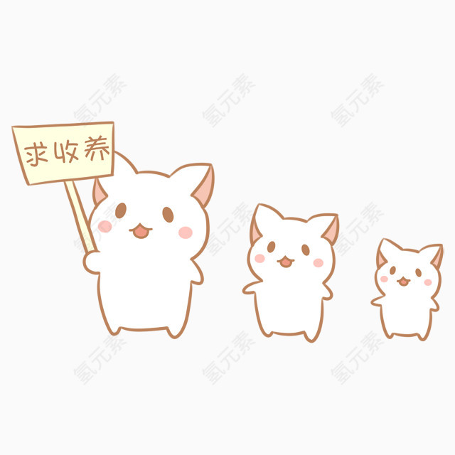 小猫求收养