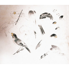 芥子园画鸟