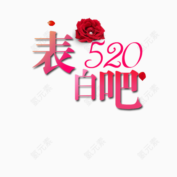 520玫瑰花
