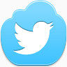 twitter bird icon