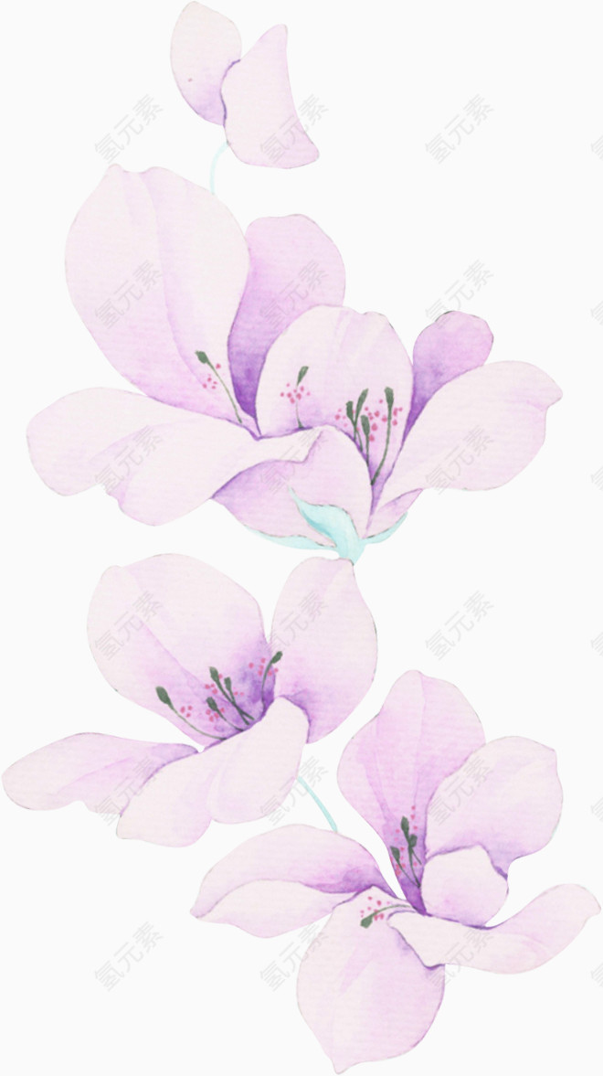 清新小紫花