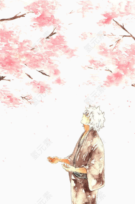 樱花树下的男人