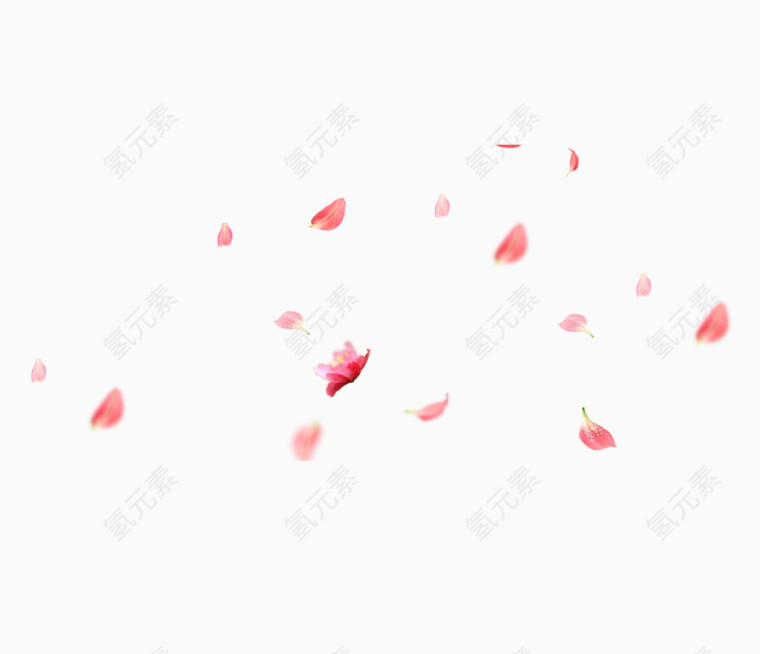 粉色漂浮花瓣