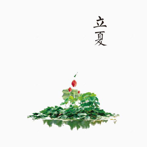 二十四节气立夏下载