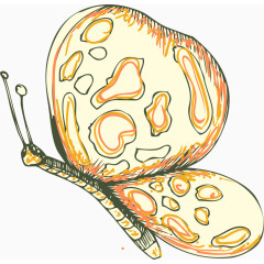 卡通手绘精美蝴蝶