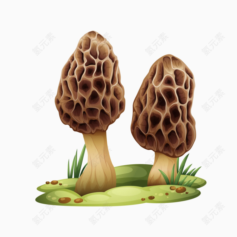 卡通手绘蘑菇