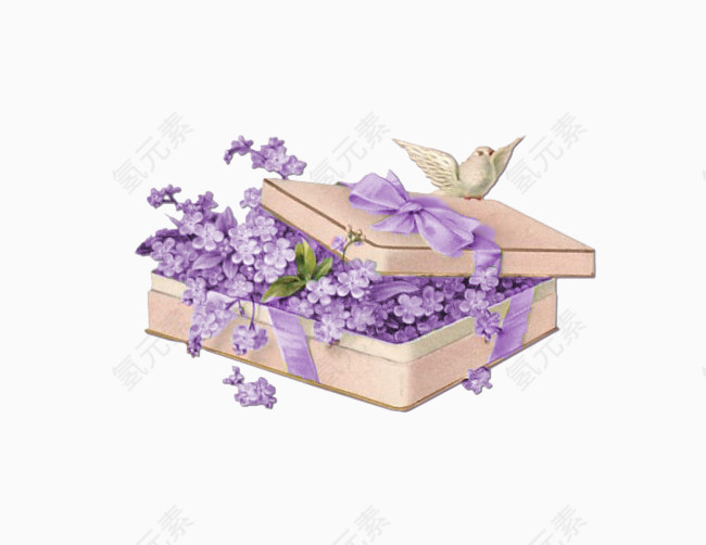 紫色花礼盒
