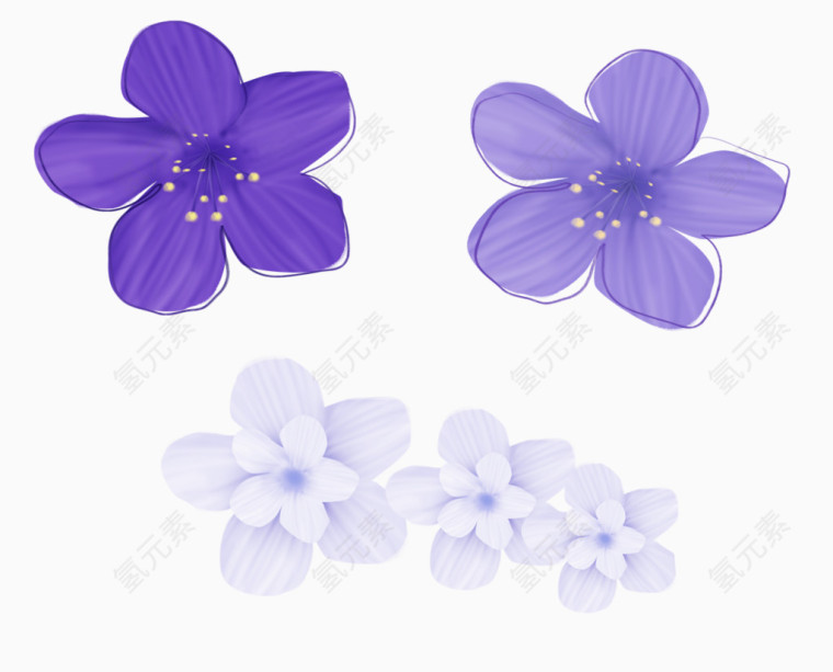 手绘紫色花卉