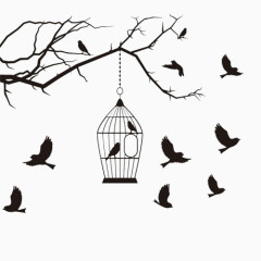笼子与鸟
