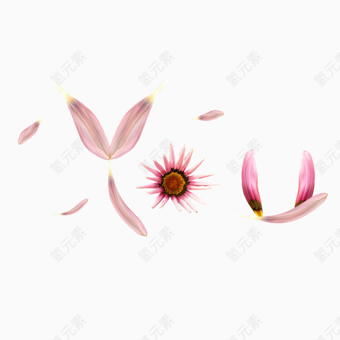 粉红的花瓣