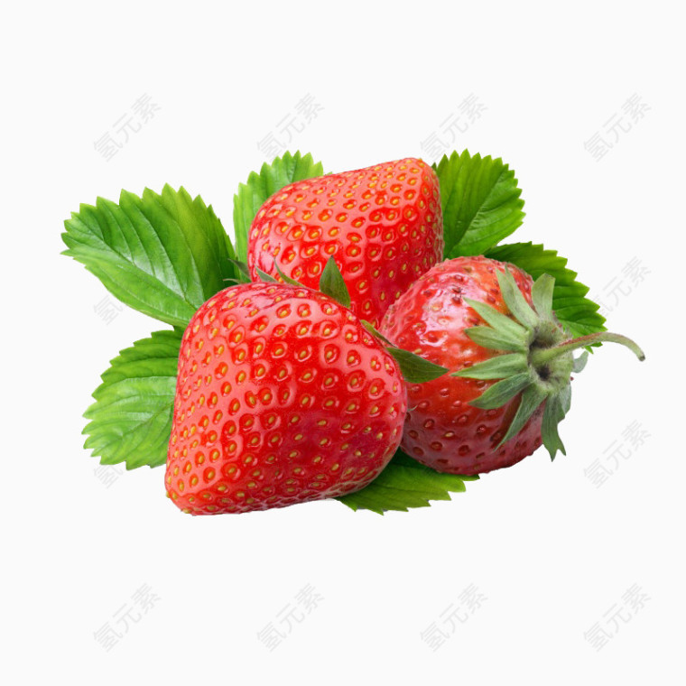 高清草莓含新鲜叶