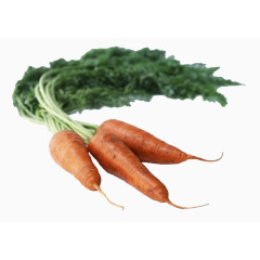 手绘蔬菜素材卡通食物素材 胡萝卜