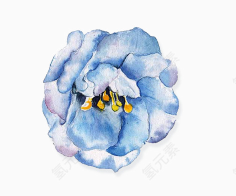 手绘蓝色花卉