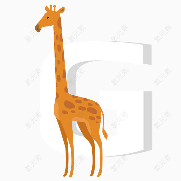 动物字母G