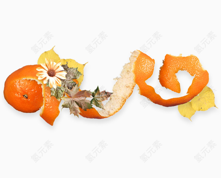水果橘子皮花朵