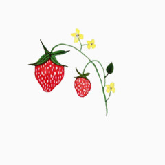 清新简约手绘红色草莓