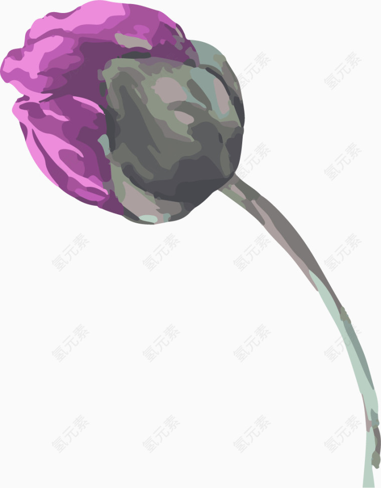 卡通手绘紫色花苞png 