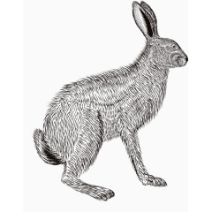 铅笔兔子画