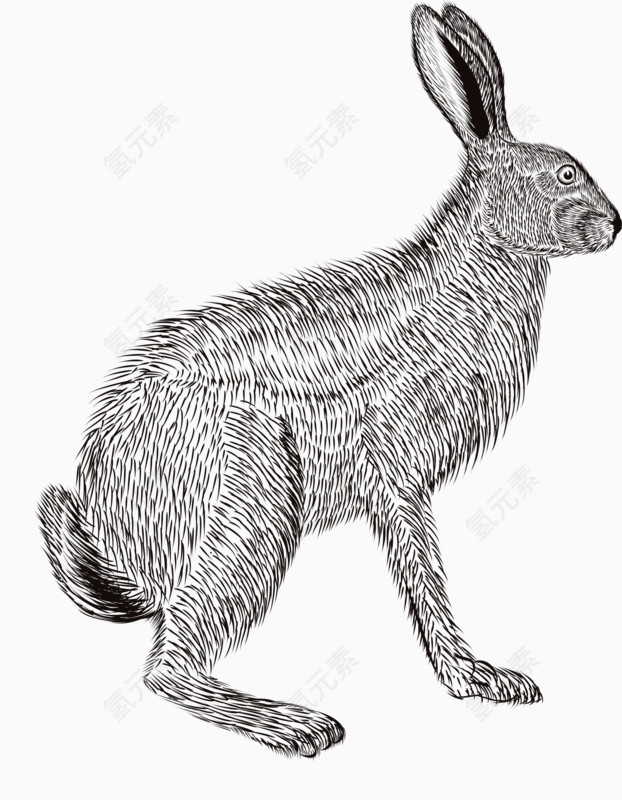 铅笔兔子画