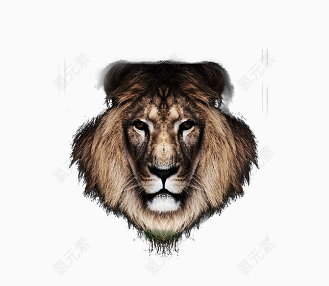 狮子头透明背景素材图