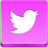 推特鸟Pink-Button-icons