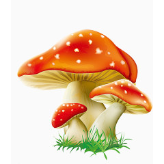 鲜红蘑菇