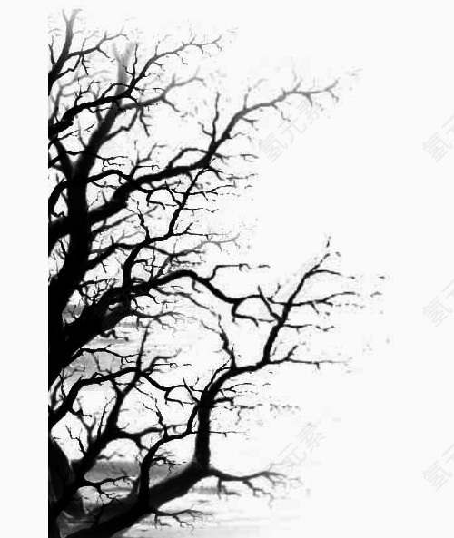 枯萎的树木树枝恐怖背景