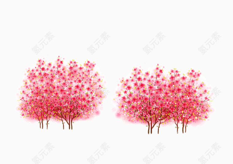 盛开的梅花树