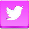 twitter bird icon