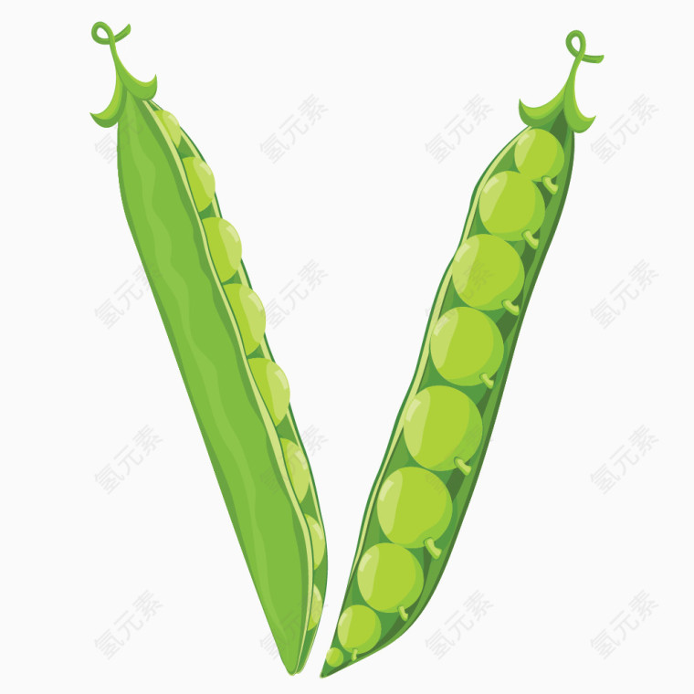 蔬菜英文字母V 