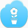 pot flower icon