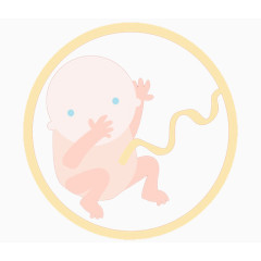 7月的胎儿