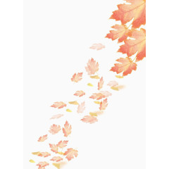 秋枫落叶纷飞图片