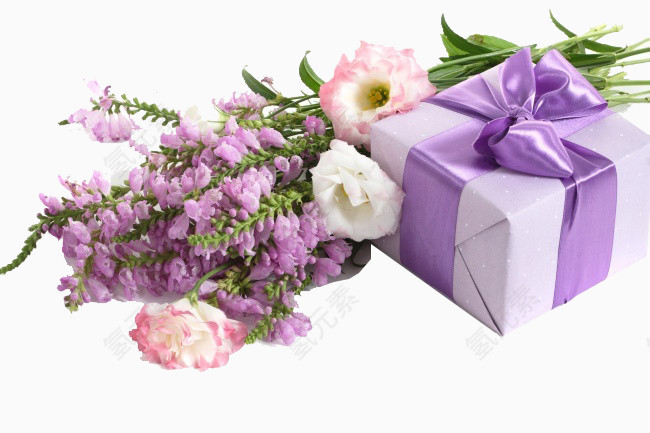紫色花和盒子