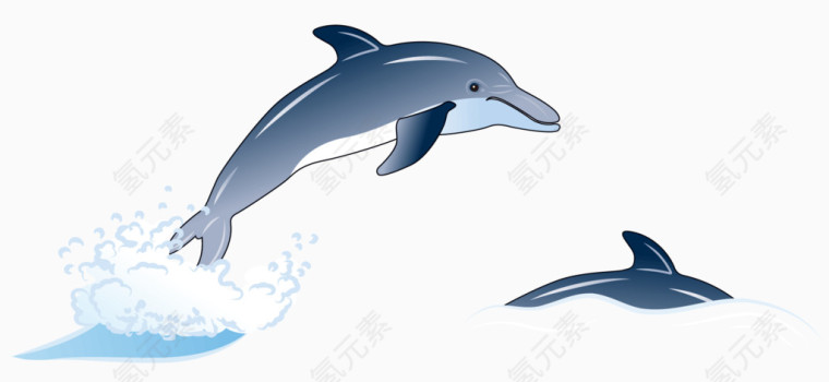 卡通手绘海豚插画 