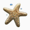 明星free-scuba-diving-icon-set