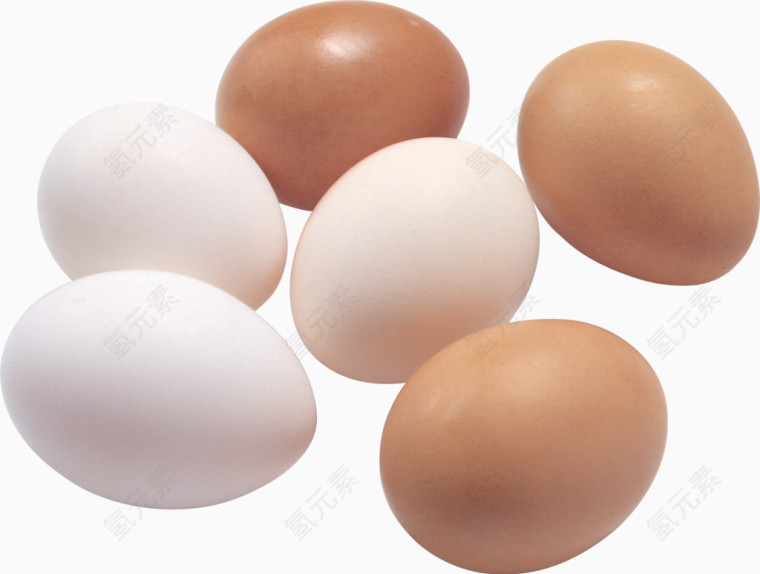 食物鸡蛋蛋白质