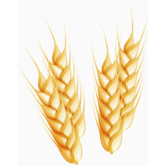 麦子麦穗矢量图