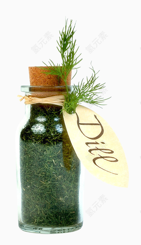 植物玻璃瓶