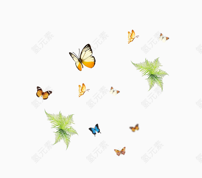 多种手绘蝴蝶