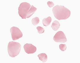 粉色花瓣PNG