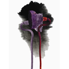 黑色背景紫色莲蓬