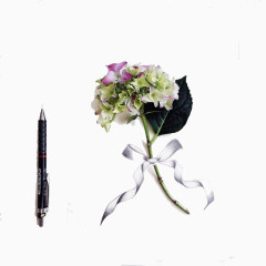 花束和钢笔