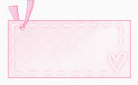 粉色标签细边框对话框