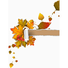 秋天树叶落叶纸张裂痕