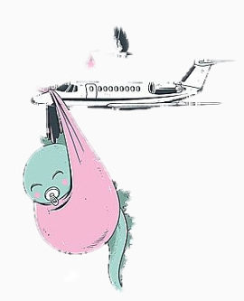 飞机吊着婴儿