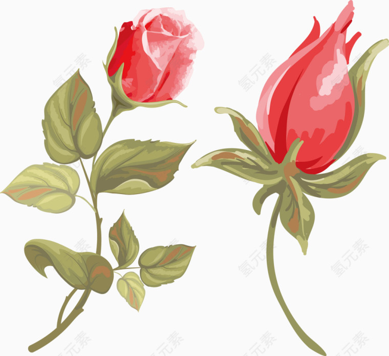 水彩红玫瑰手绘装饰元素
