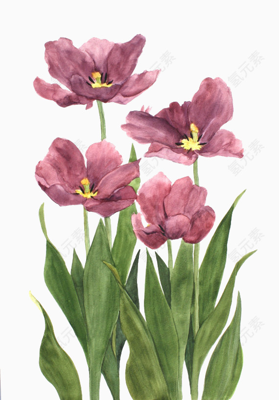 紫粉色花朵水彩画