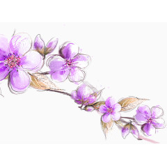 卡通手绘盛开紫色花朵