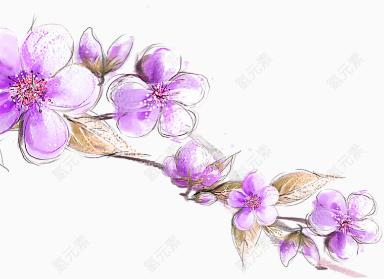 卡通手绘盛开紫色花朵